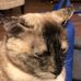 Profile Picture of Gary Shay (@gary.shay.37) on Facebook