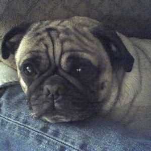 Oscar Howard - Myspace Profile Picture of Oscar Howard (@438261302) on Myspace