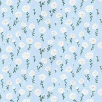 Profile Picture of Tina Zeng (@tina-zeng-12) on Quora