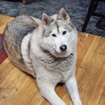 Profile Picture of Ricky Whitmer (@ricky.whitmer) on Instagram