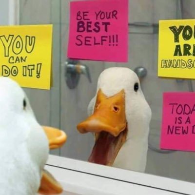 Profile Picture of Martin Torzewski (@MartinToro1) on Twitter