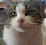 Profile Picture of Peggy Rector (@peggy.rector.2025) on Facebook