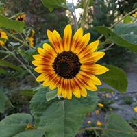 Profile Picture of Robin Kersten (@robin-kersten-3) on Quora