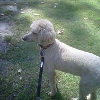 Profile Picture of Tanya Daves (@tanya-daves) on Quora