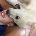 Profile Picture of Robert Brooks (@robertbrooksdesign) on Instagram