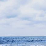 RIA _SHAREEF.. - Instagram Profile Picture of RIA _SHAREEF.. (@riya._.shareef) on Instagram