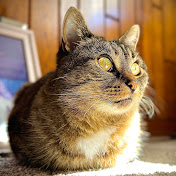 Profile Picture of Sara And Steve’s Kitchen (@sara.steve.kitchen) on Youtube