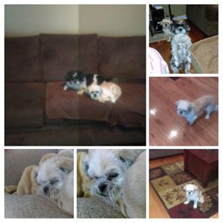 Profile Picture of Gregory Gloss (@gregory.gloss.58) on Facebook