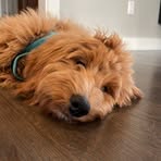 Profile Picture of Joshua Elkin (@joshua.elkin.9) on Facebook