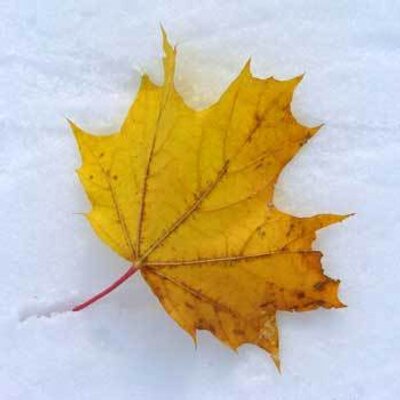 Profile Picture of Paul Leroux (@paul_leroux) on Twitter