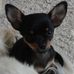 Profile Picture of Paula Schreiber (@paula.schreiber.92) on Facebook