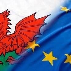 Profile Picture of Tony Mercer  🏴󠁧󠁢󠁷󠁬󠁳󠁿 🇪🇺 (@curlyshavings) on Twitter