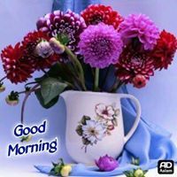 Profile Picture of Jitendra Pandit (@jitendra1505) on Pinterest