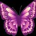 Profile Picture of Louise Duquette (@louise.duquette.395) on Facebook