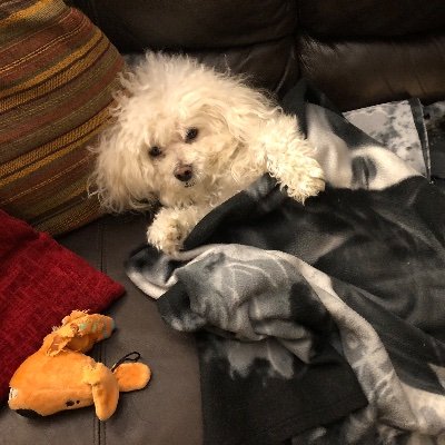 Profile Picture of Michaela Swenson (@sleepyUwUbean) on Twitter