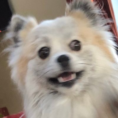 Profile Picture of Ben Getman (@sadfaaasdf) on Twitter