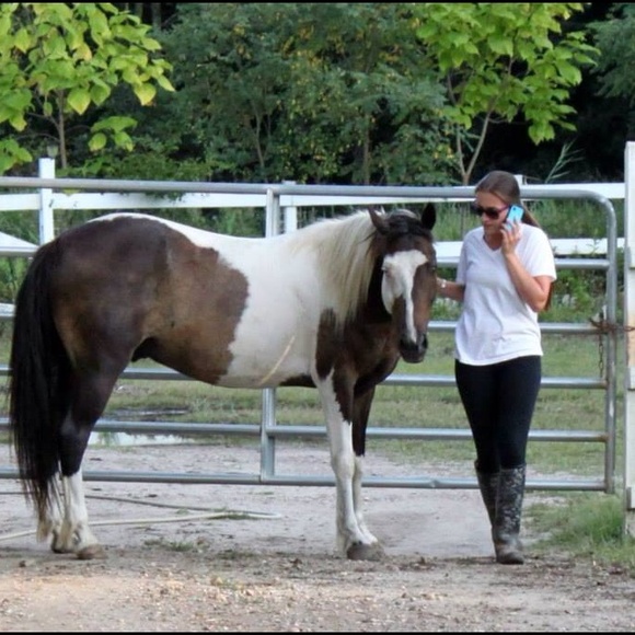 Profile Picture of Christie Holzschuh (@choltz) on Poshmark