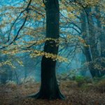 Profile Picture of Stuart Moore (@stuartmoorephoto) on Instagram