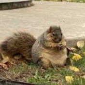 Profile Picture of Neil (@neil3595) on Youtube