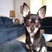 Profile Picture of Randy Bratsch (@randy.bratsch.3) on Facebook