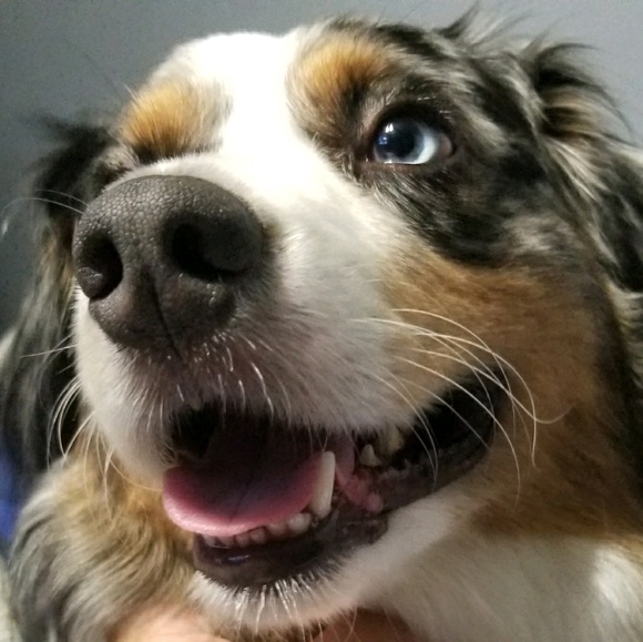 Profile Picture of Nathan Leal (@leal06) on Poshmark