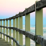 Profile Picture of David Yu (@fireblood80) on Flickr