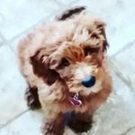 Profile Picture of witten_bailey123 (@wittenbailey) on Instagram