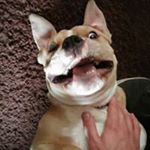 Profile Picture of Richard de Bruin (@erdebruin) on Instagram