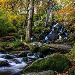 Profile Picture of Becky Falls, Dartmoor (@becky_falls) on Instagram