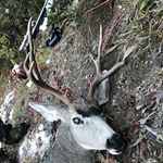 Tony Rosenstiel - Instagram Profile Picture of Tony Rosenstiel (@tony_rosenstiel) on Instagram