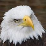 Jim McLeod - Instagram Profile Picture of Jim McLeod (@seawuf69) on Instagram