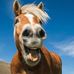 Profile Picture of Donna Manwaring (@donna.manwaring.56) on Facebook