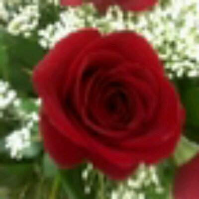 Profile Picture of Pamela Ware (@pam_ware95) on Twitter