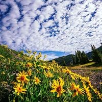 Profile Picture of Dani Fleming (@dani-fleming-3) on Quora