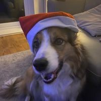 Profile Picture of Mark Duke (@mark-duke-46) on Quora