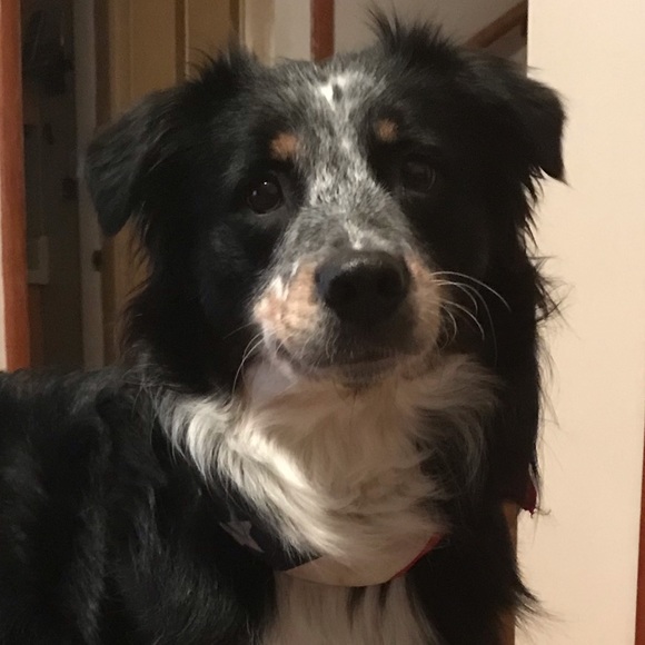 Profile Picture of Tyler Huddleston (@twhfox1020) on Poshmark