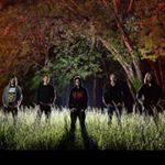 Profile Picture of Nathaniel Tracey (@traceynathaniel) on Instagram