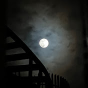 Profile Picture of Dawn Lam (@diva1211ms) on Youtube