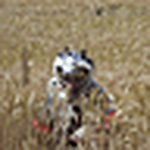 Profile Picture of Quinto Julio Capito (@Quinto Julio Capito) on Flickr