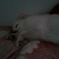 Profile Picture of Bo Wong (@bo-wong-15) on Quora