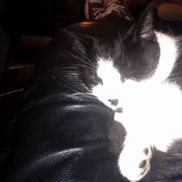 Profile Picture of Jonathan Snowden (@jonathan-snowden) on Quora