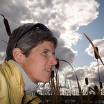 Profile Picture of Joanne Smith (@Greatgrey2013) on Flickr