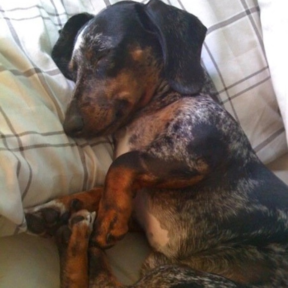 Profile Picture of Kara Barron (@karajb9) on Poshmark