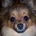 Profile Picture of Bryan Courtright (@bryan.courtright.3) on Facebook