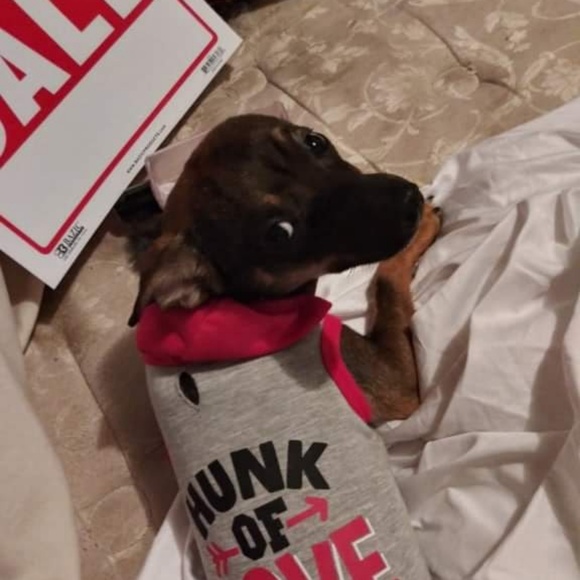 Profile Picture of Bianca Aguero (@breal344) on Poshmark