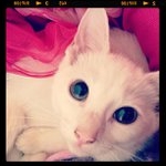 Profile Picture of James Geraldine (@caelyken) on Instagram