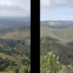 Profile Picture of annabelle anderson (@annabelleanderson3) on Instagram