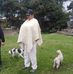 Profile Picture of Álejandro Corredor (@alejandro.corredor.5688) on Facebook