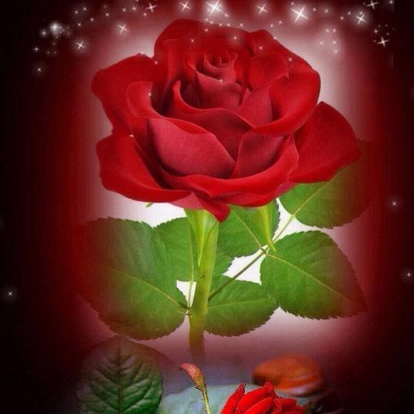 Profile Picture of Sol Rodriguez (@sol_y_77) on Poshmark