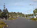 Profile Picture of Arch Hill, New Zealandon Wikipedia